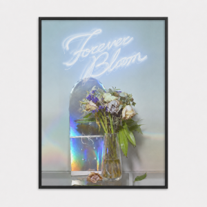 Forever Bloom: Blue Dream